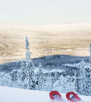 stoten-salen-300x336